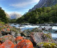 Hire + Ticket (Hollyford) Online Name